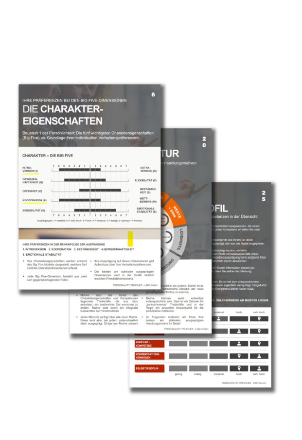 Beispielhafte Seiten eines LINC PERSONALITY PROFILER Ergebnisreports